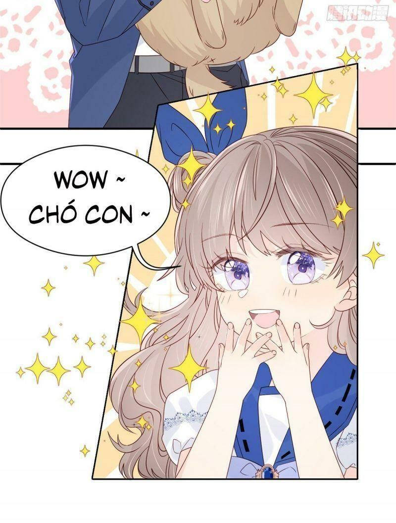 đoàn sủng lão đại ba tuổi rưỡi chapter 12 15