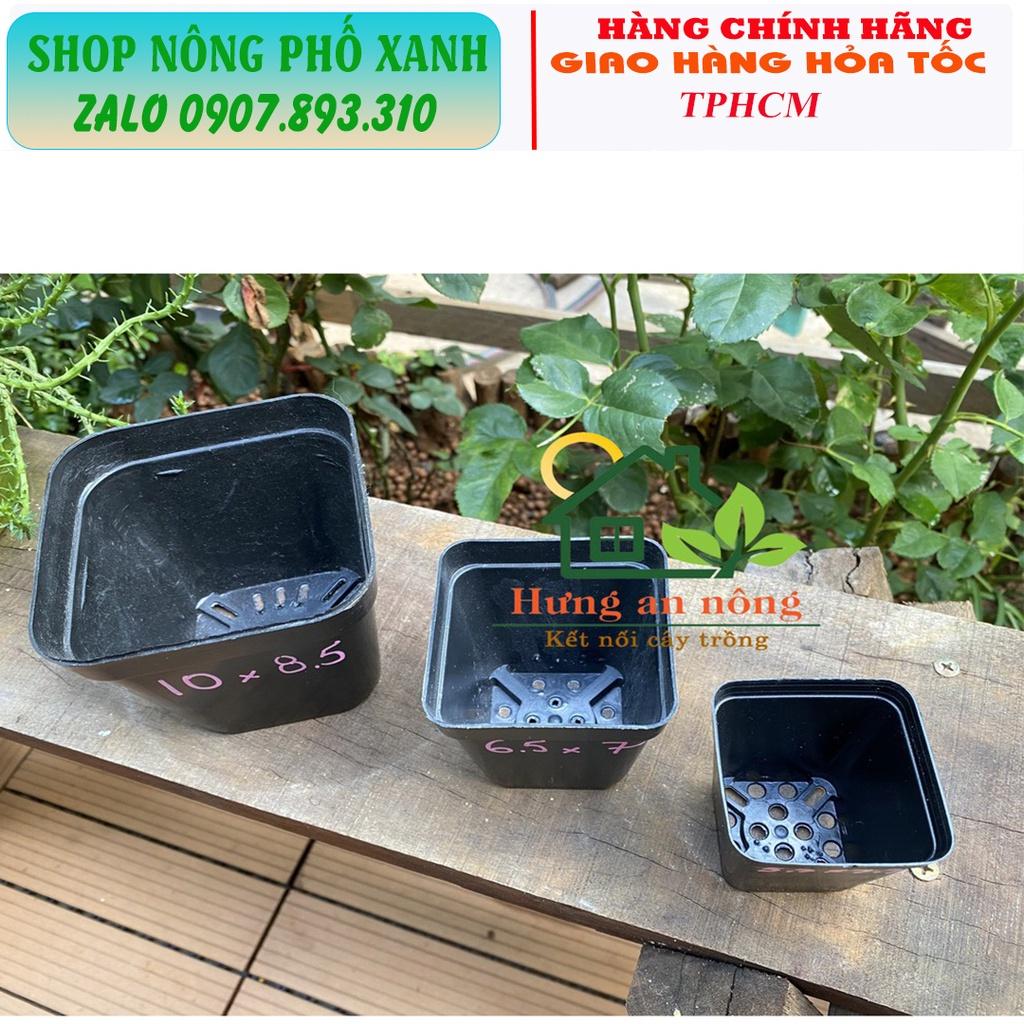 Chậu đen dẻo trồng sen đá bonsai xương rồng ươm cây con, trồng phôi bonsai mini