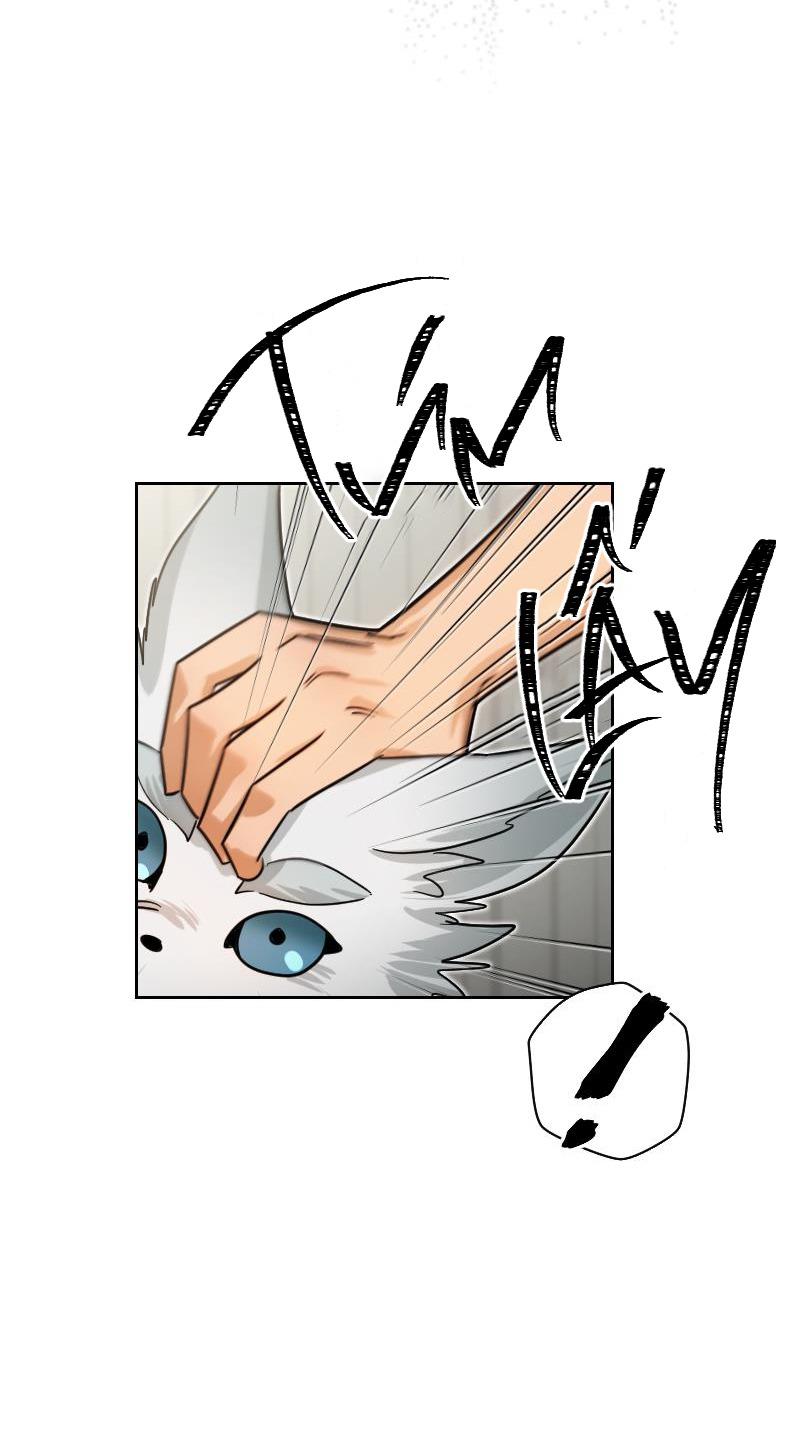 tế phẩm thần núi chapter 4 28