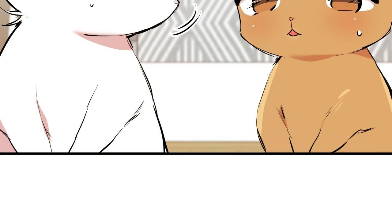 đàn thỏ của habibi chapter 36 82