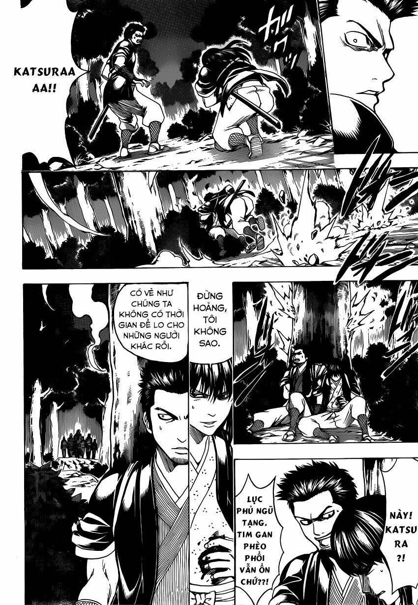 gintama - linh hồn bạc chapter 534 12