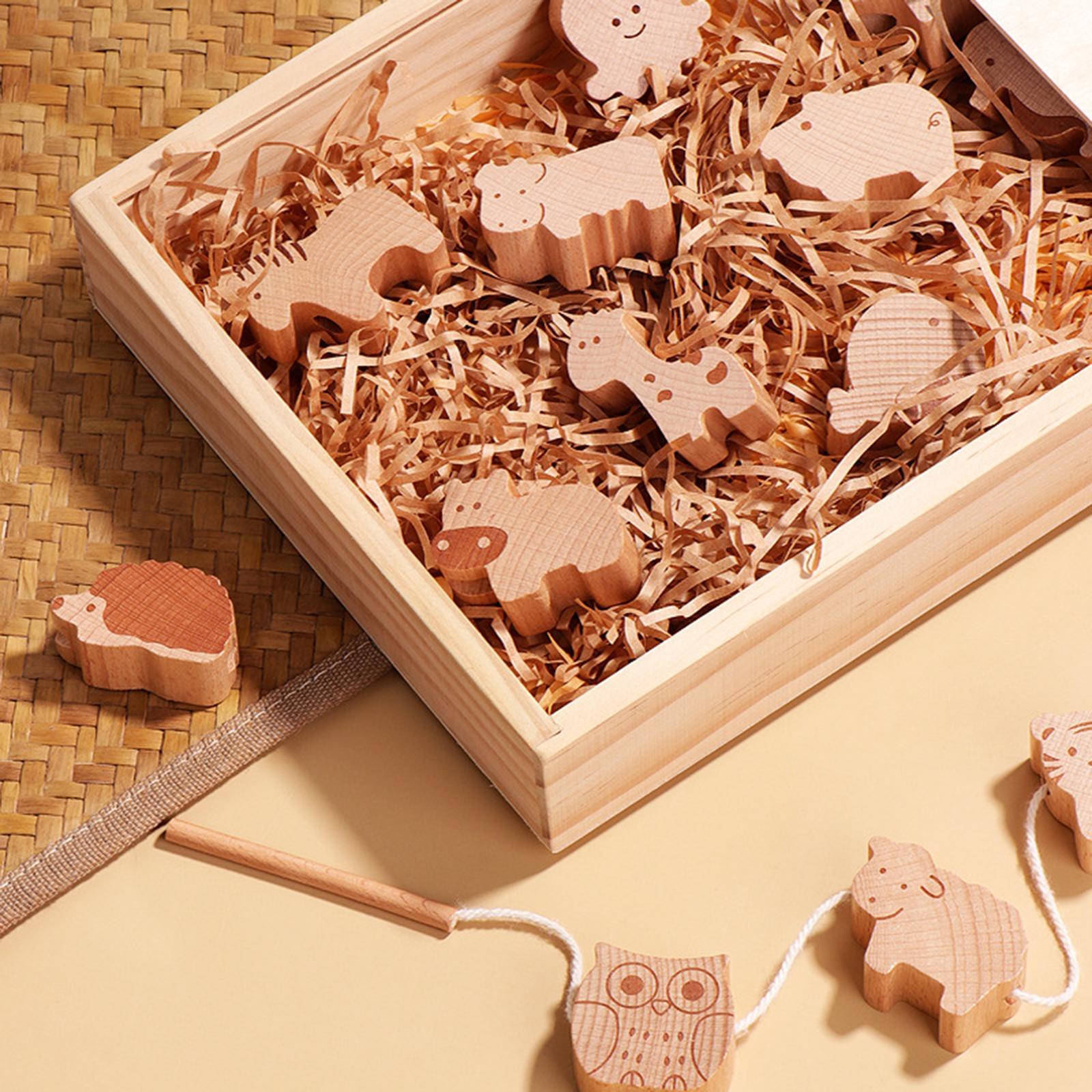 16x Animal Blocks Threading Toy Hand Eye Coordination for Children Toddlers