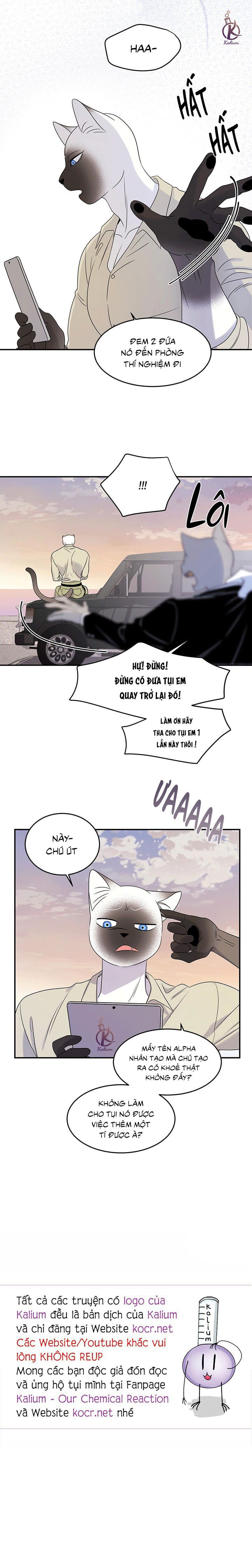 dự án xanh chapter 30 21