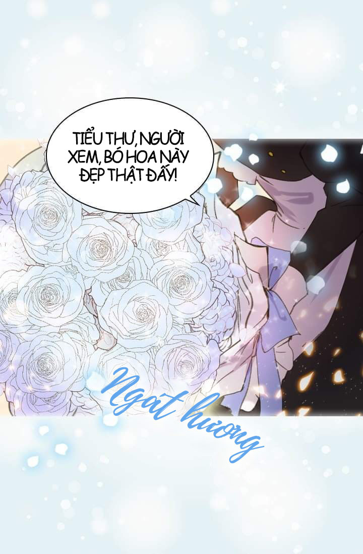 chiến lược sinh tồn của tiểu thư chapter 14 13