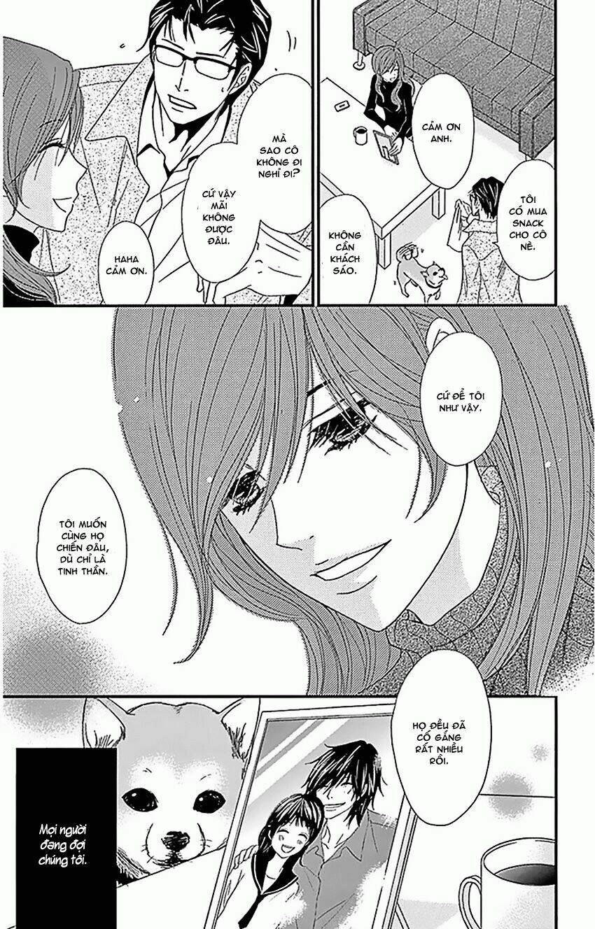 điện kích daisy chapter 74 8