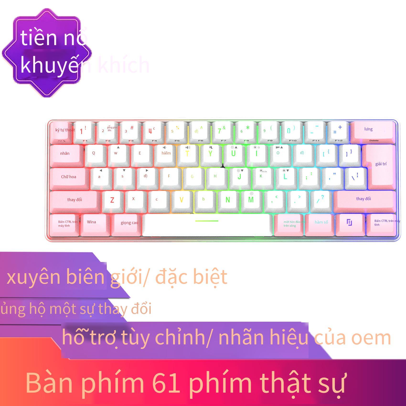 Đảm Bảo Chất Lượng 61 Phím K401 Phối Màu Đèn RGB Phối Màu Tùy Chỉnh Người Thao Túng Cảm Giác Dòng Phím Tách Trò Chơi Bàn Phím Có Dây