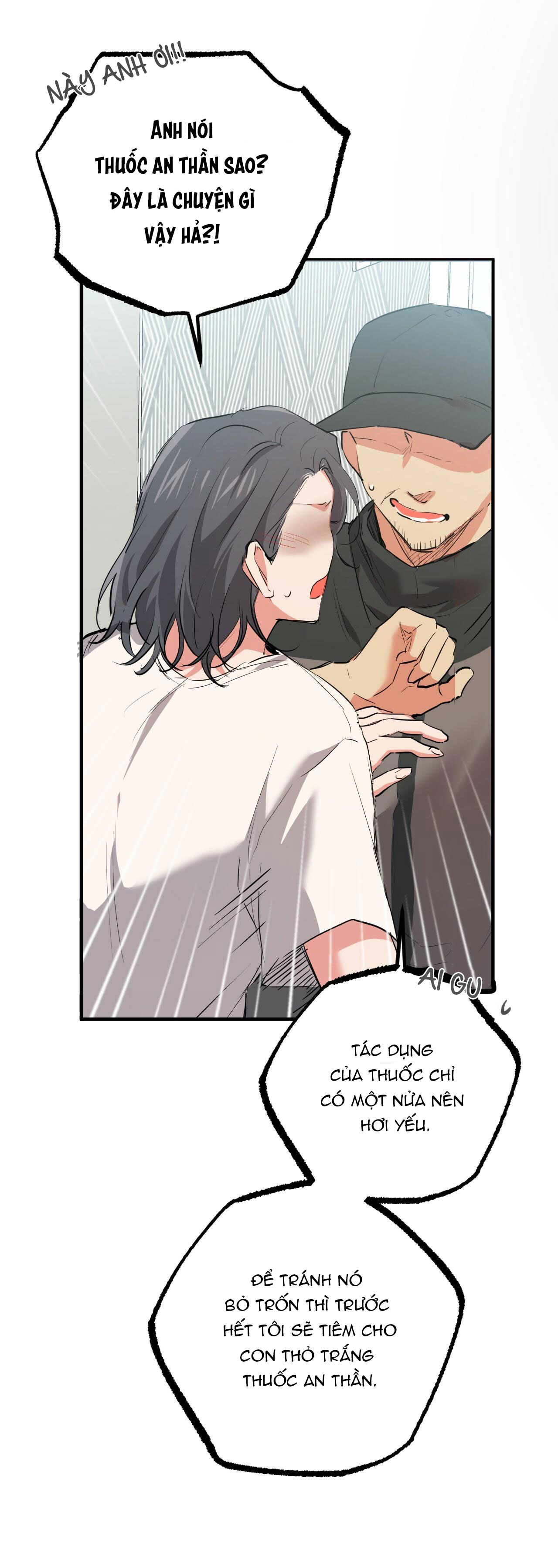 những chú thỏ của hapypy chapter 36 30