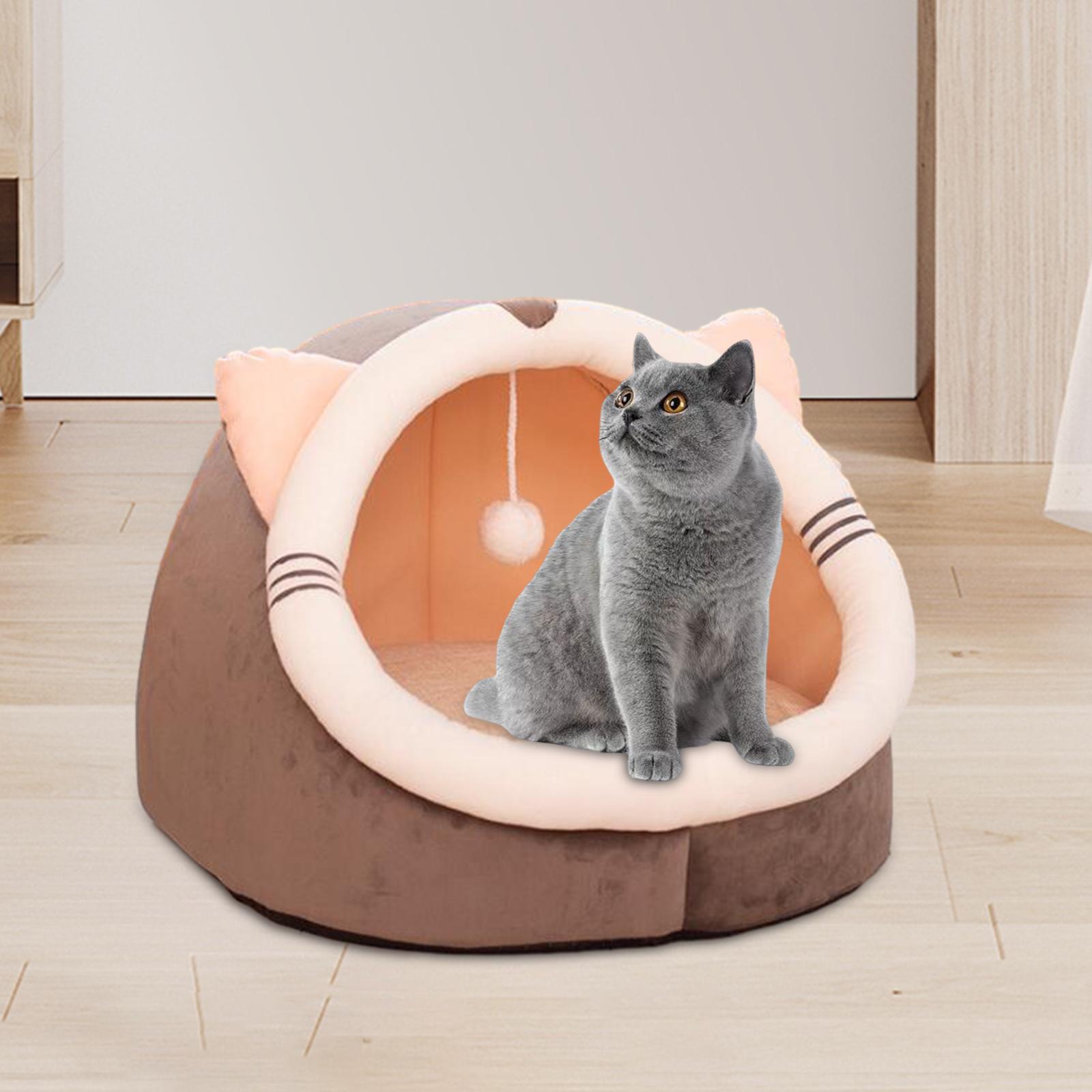 Cat Bed with Interactive Ball Pet Bed for Outdoor Cats and Small Dogs Indoor