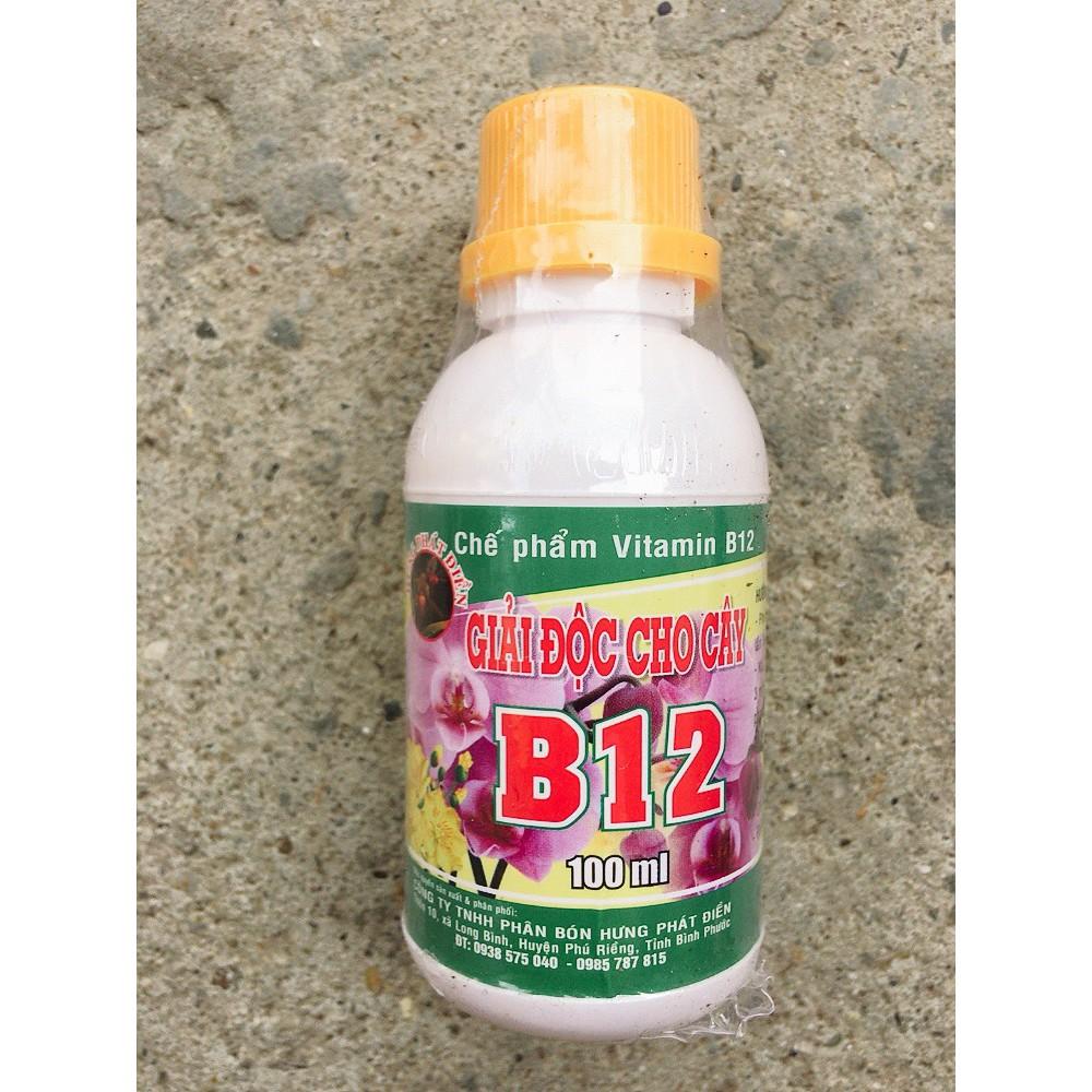 Vitamin B12 cho lan, cây cảnh 100ml Giải độc cây- Tái tạo tế bào (Hưng Phát Điền)