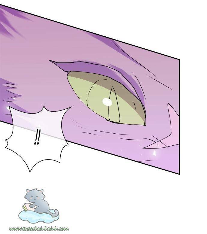 tôi đang nuôi dưỡng một con quái thú chapter 70 73