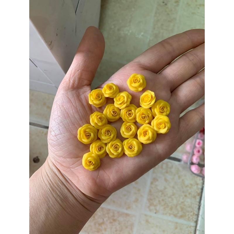 Hoa hồng,hoa fan