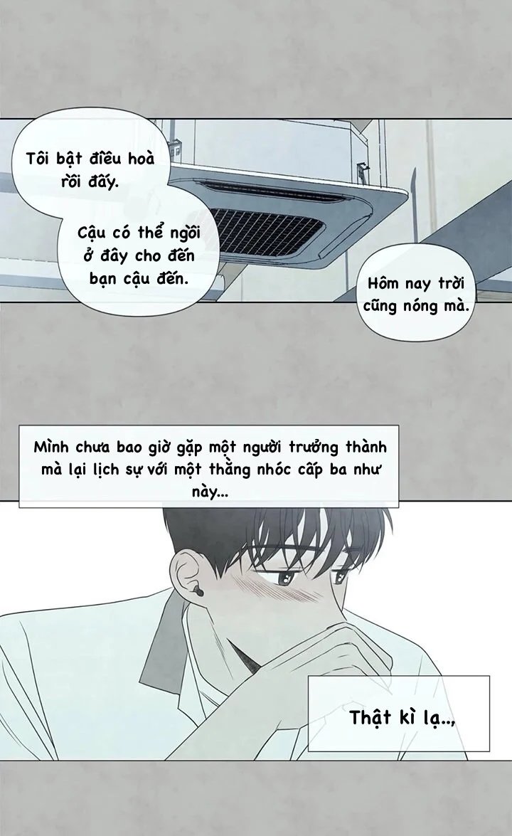 summer solstice point chapter 20 26