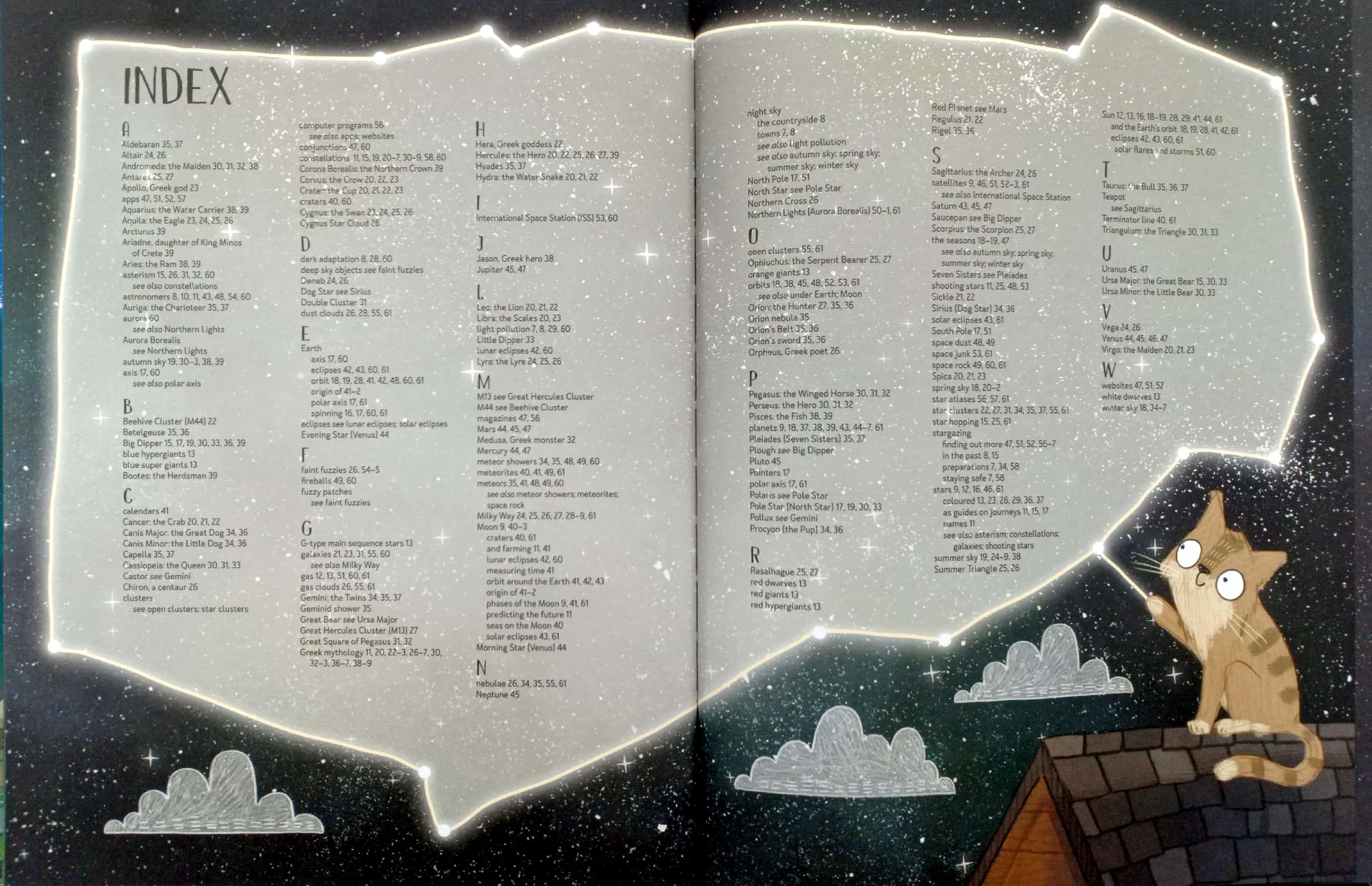 A Cat's Guide to the Night Sky