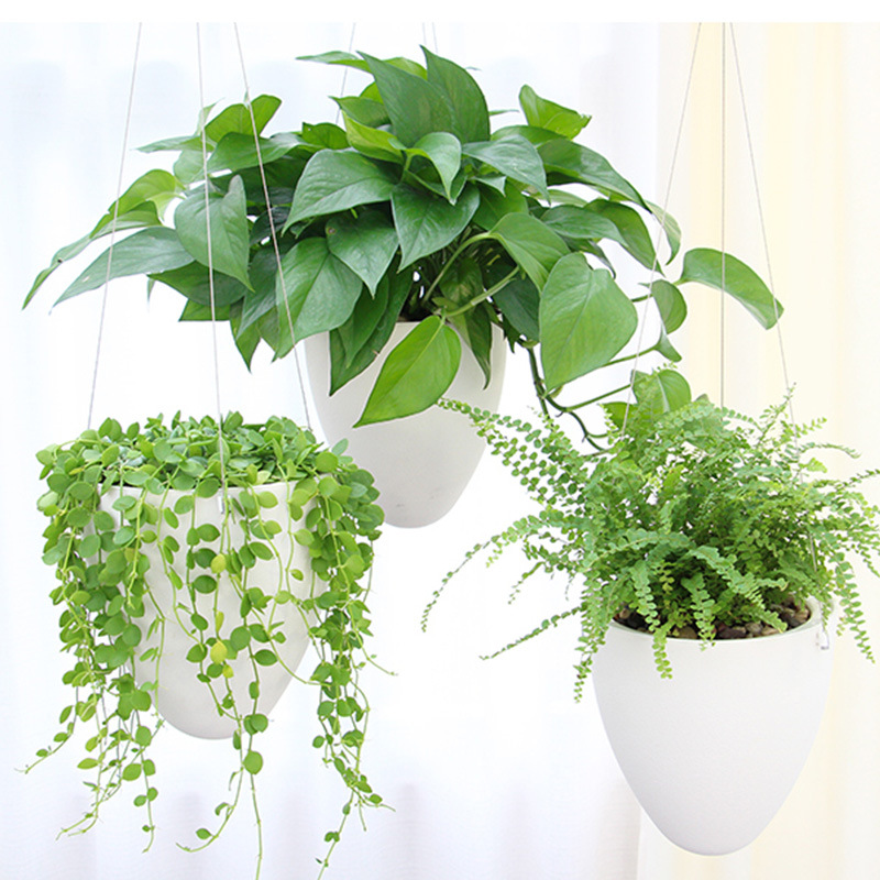 Chậu cây treo ban công Oliz D09 - Chậu trồng cây thông minh tự tưới
