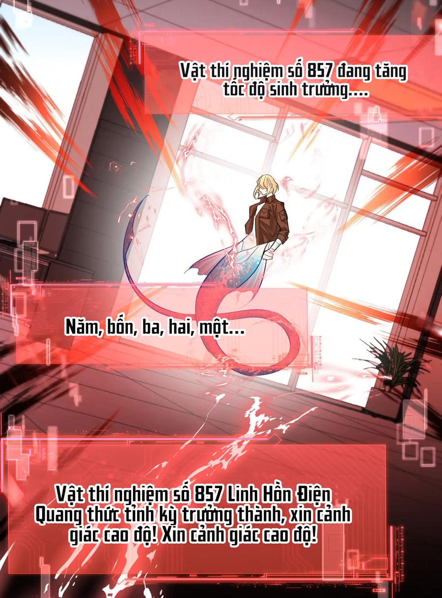 nhân ngư hãm lạc chapter 18 29