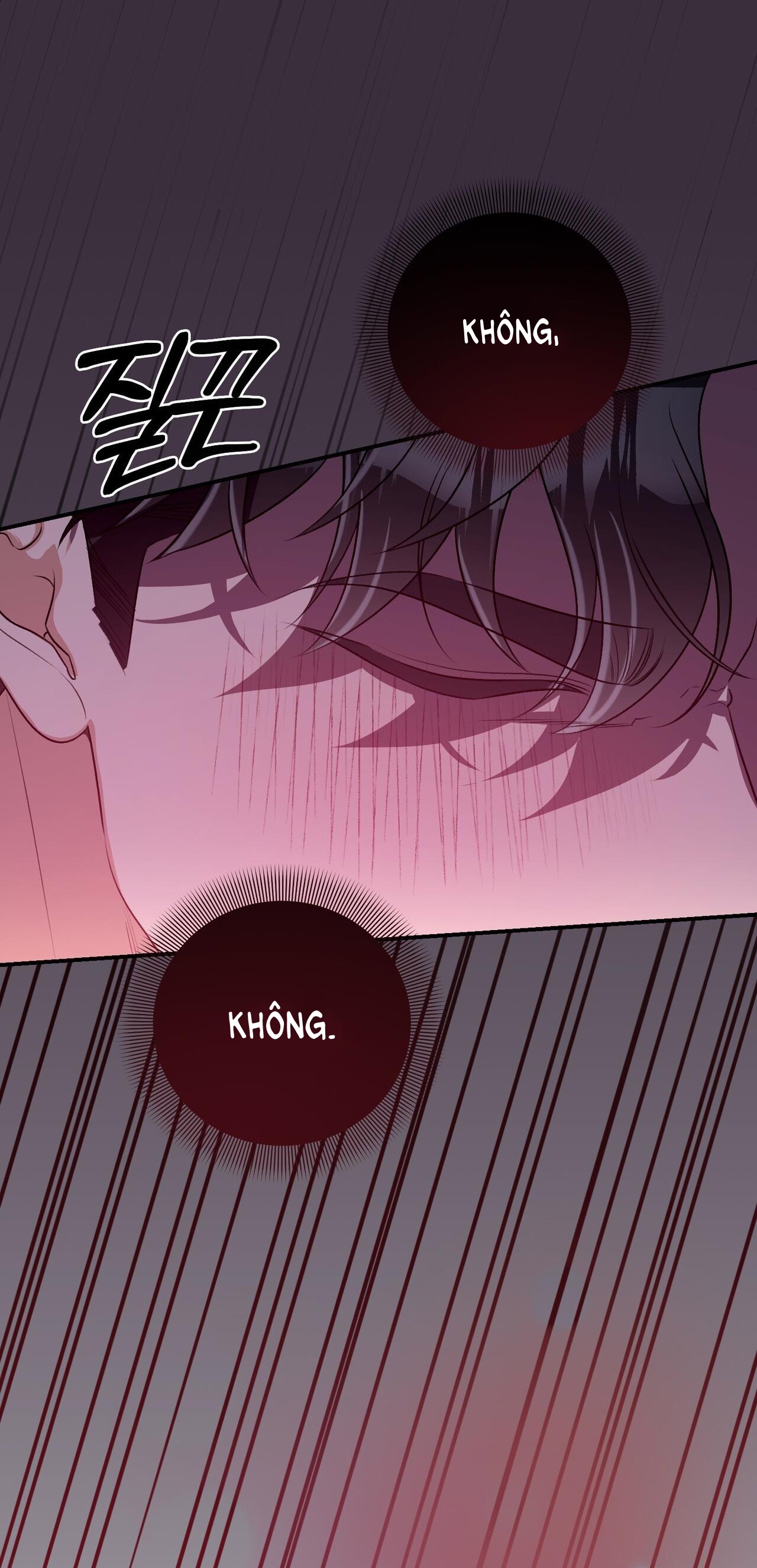 Cướp Dâu chapter 17.2 - Trang 10
