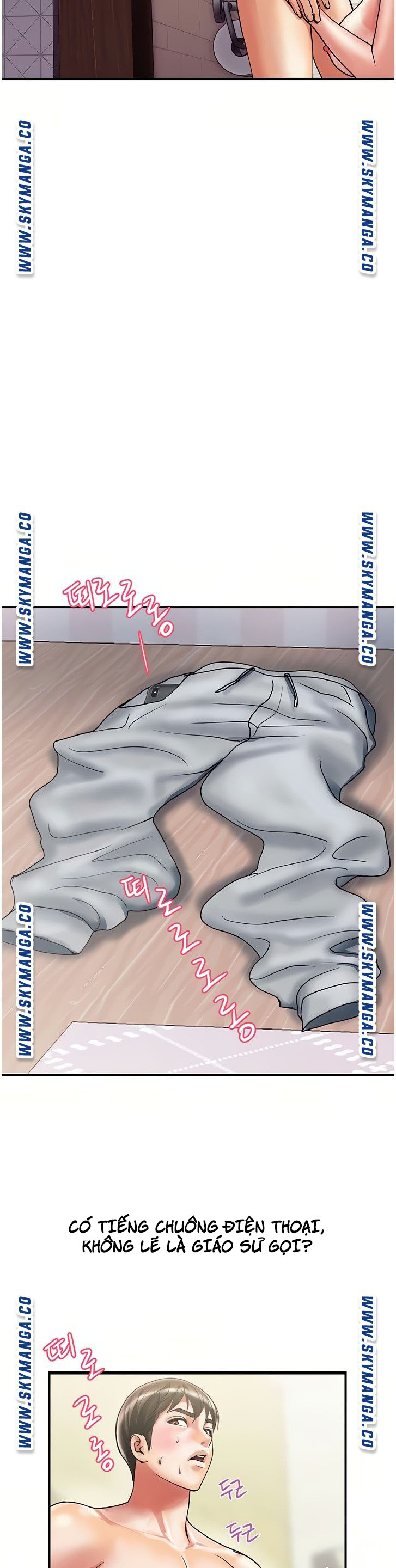 chất dẫn dục chapter 11 29