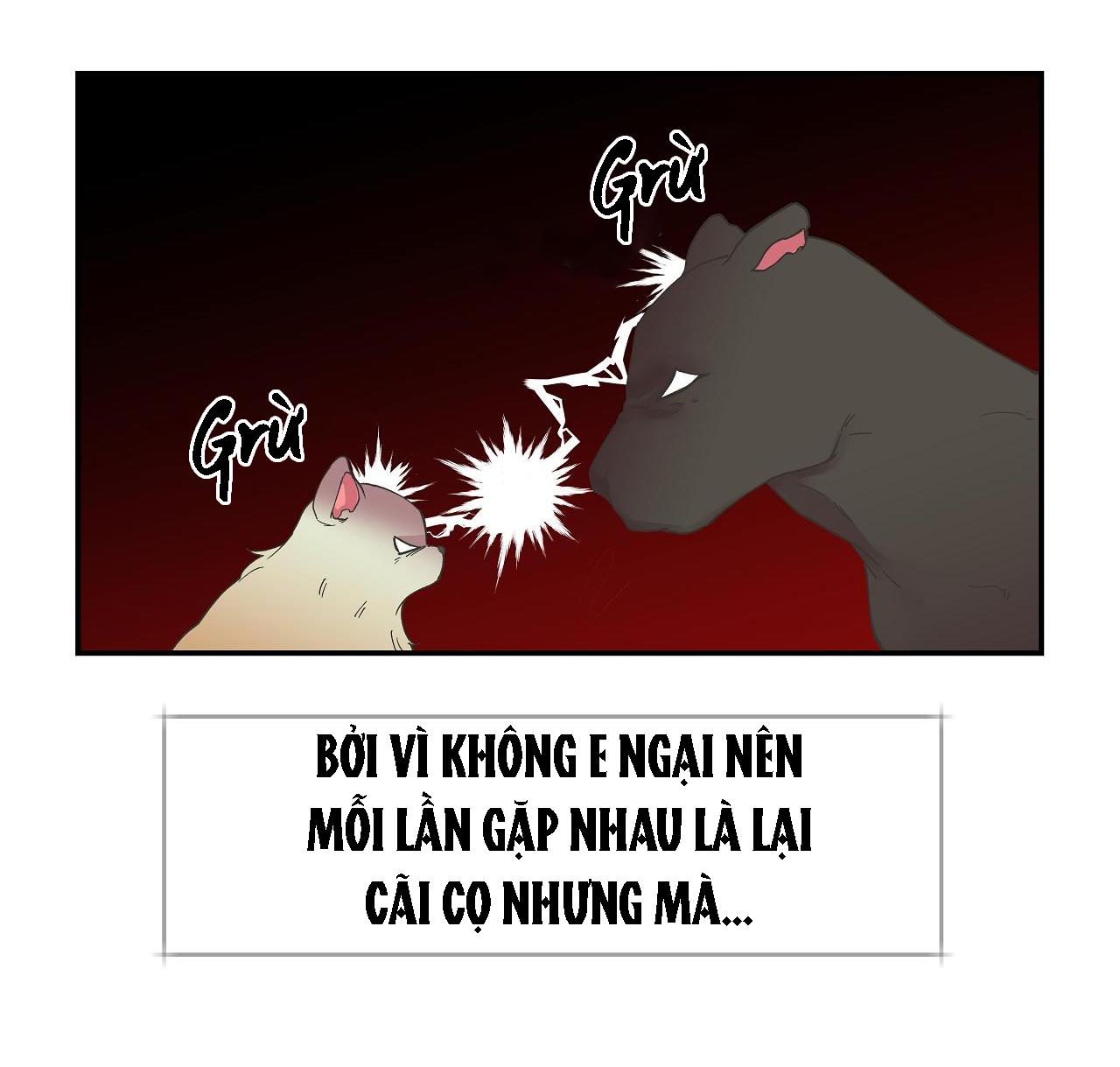 trong đôi mắt em chapter 1 15