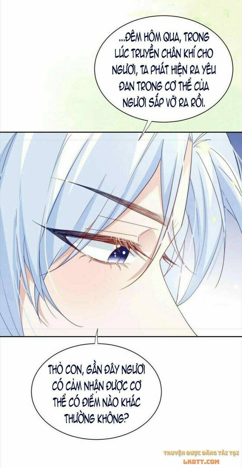 hắc hóa nam chính trực tuyến nuôi thỏ chapter 60 9