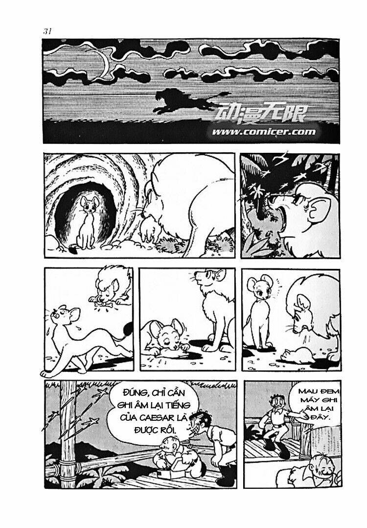 vua sư tử chapter 0 29