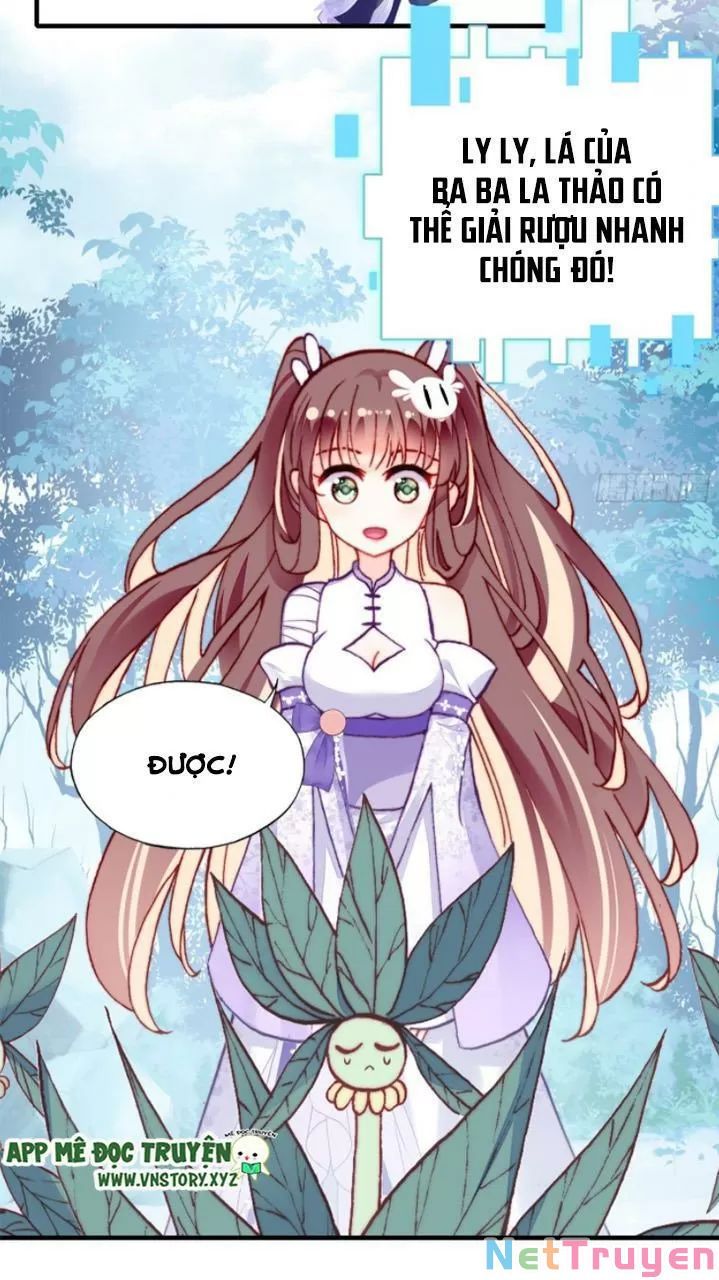 lại bị bệnh chiều chuộng quấn lấy chapter 19 13