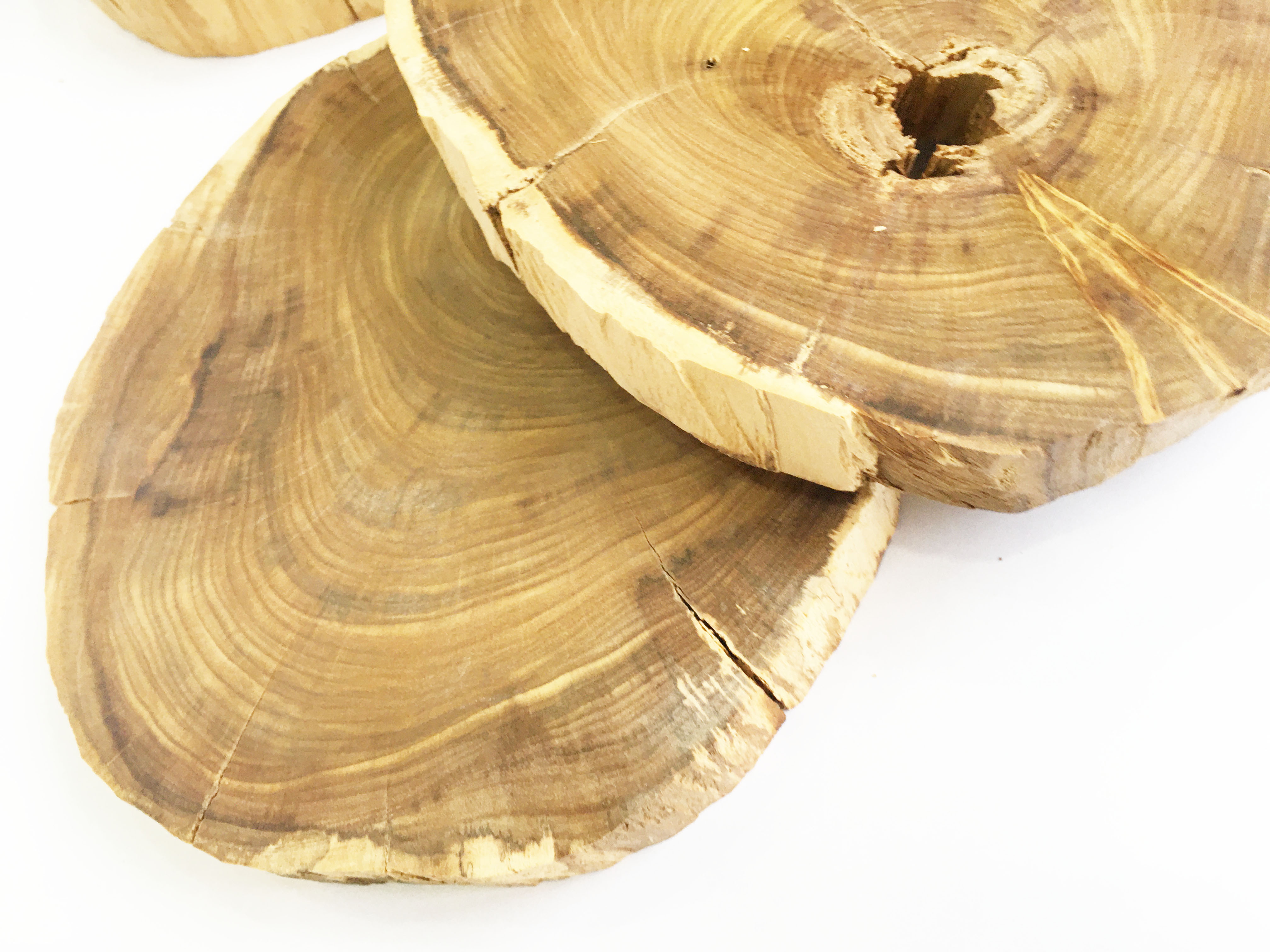 Khoanh gỗ lũa dùng trang trí, decor vintage, chụp ảnh KT 18-25cm