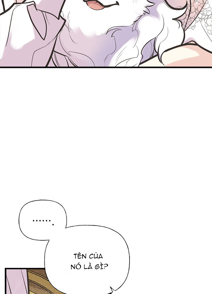 chị tôi đã nhặt về một nam chính quyến rũ chapter 52 29