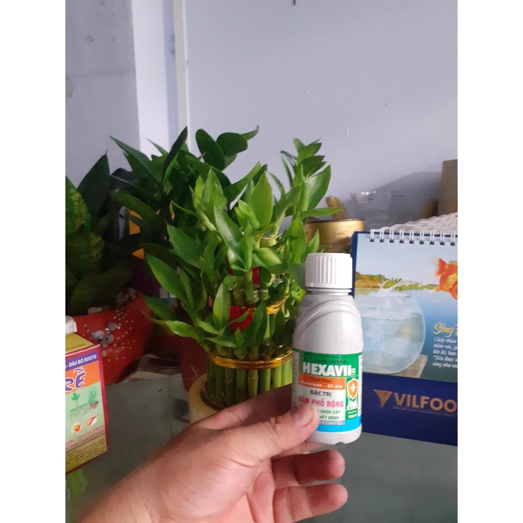 Đặc trị Nấm phổ rộng cho cây trồng - sạch nấm khỏe cây đánh bay vết bệnh.