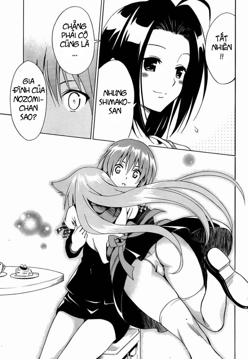 mayoi neko overrun! chapter 8 37