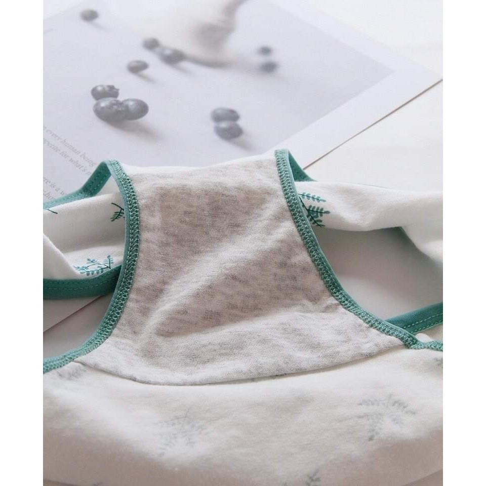 QUẦN COTTON HINH CHIẾC LÁ- 5 QUẦN 90K