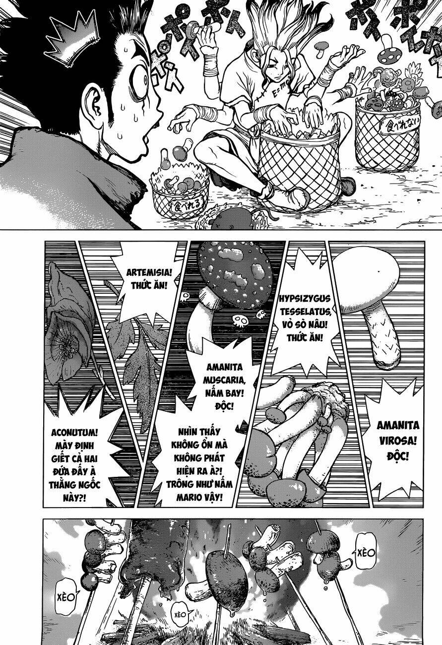 dr.stone - hồi sinh thế giới chapter 2 5