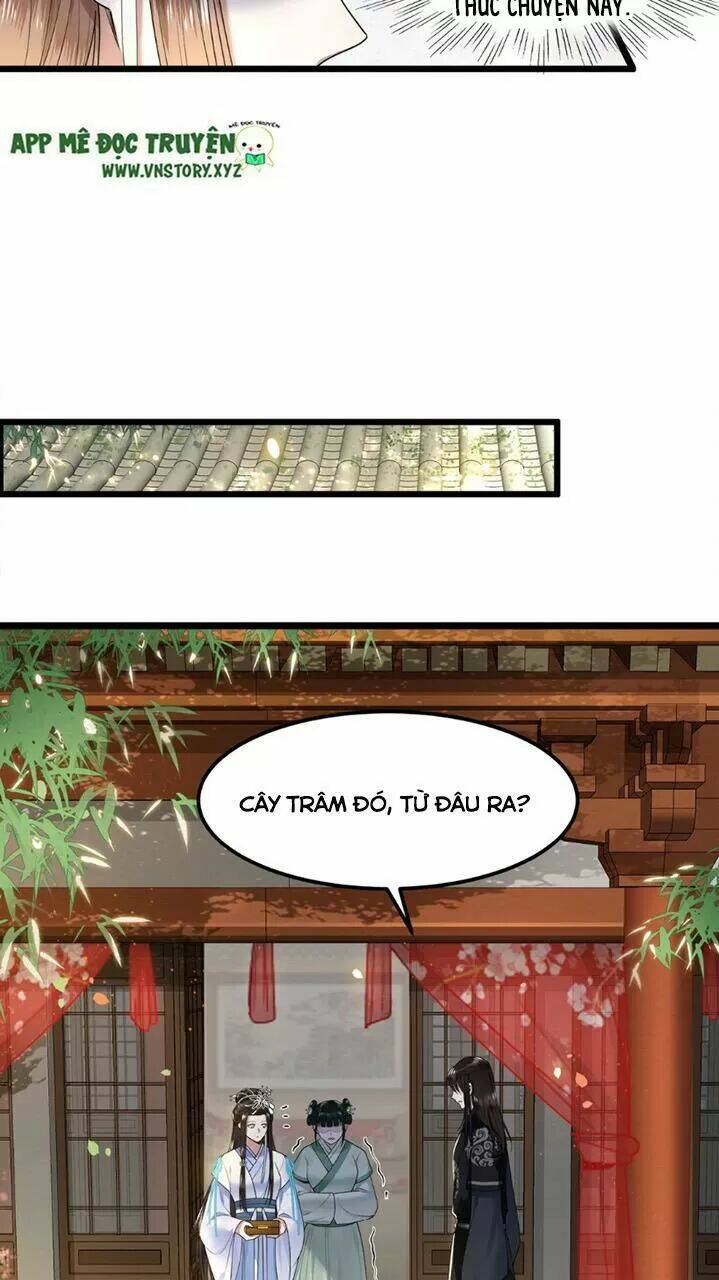 phượng hoàng vu phi chapter 43 7