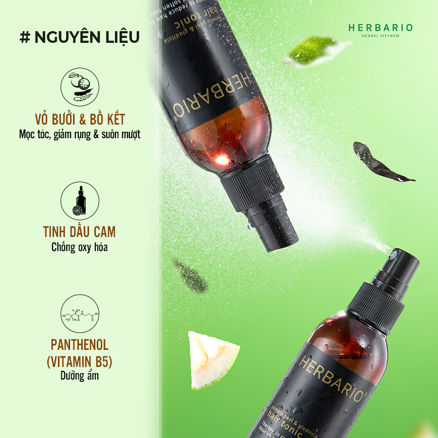 Bộ sản phẩm chăm sóc tóc: Dầu gội Herbario 300ml + Nước dưỡng tóc Herbario 100ml + Serum tóc Herbario 30ml