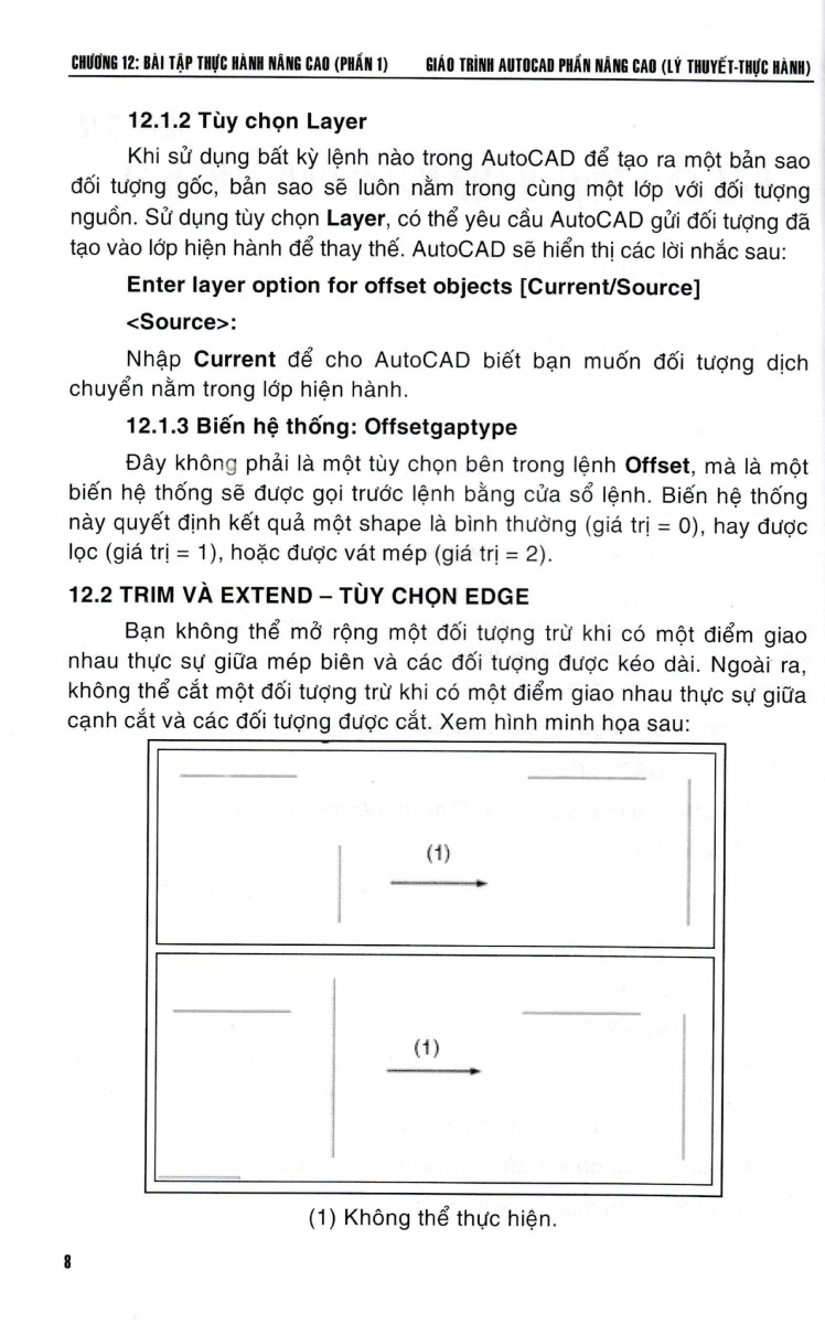 Giáo Trình Autocad - Phần Nâng Cao (Lý Thuyết - Thực Hành) - STK