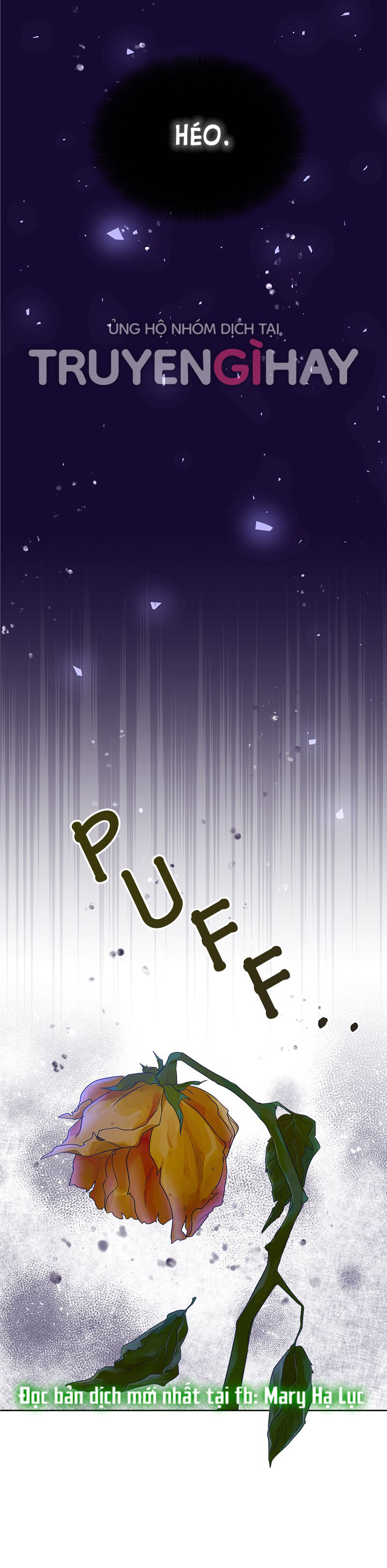 chàng nam phụ kia thực ra là con gái chapter 3 12