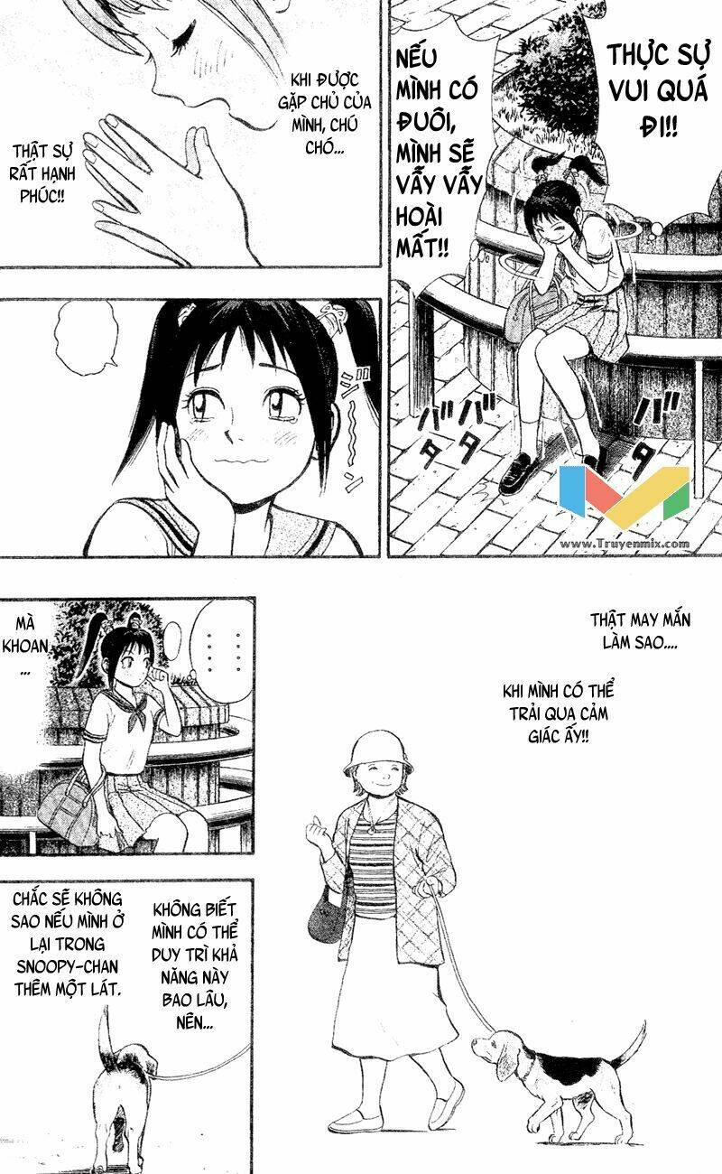 animal sense chapter 1 31