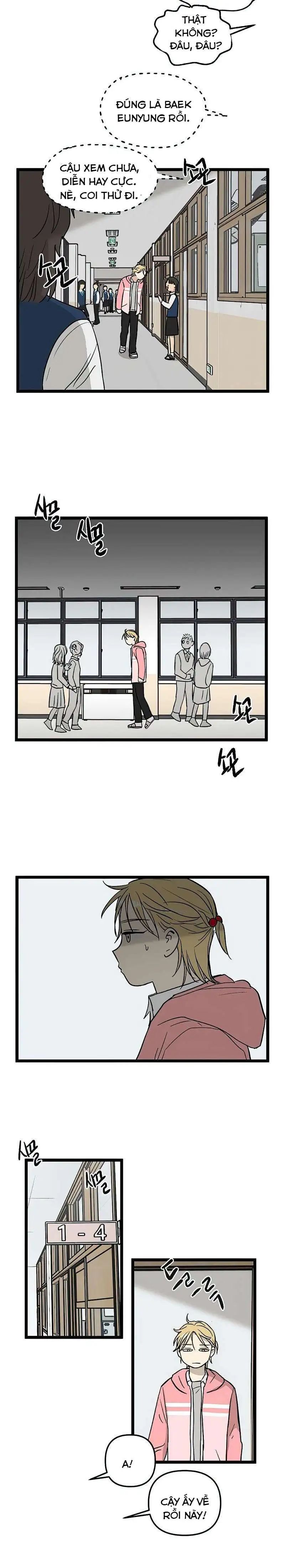 no home - không nhà chapter 66 4