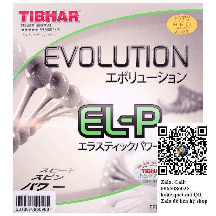 Mặt vợt bóng bàn TIBHAR EVOLUTION