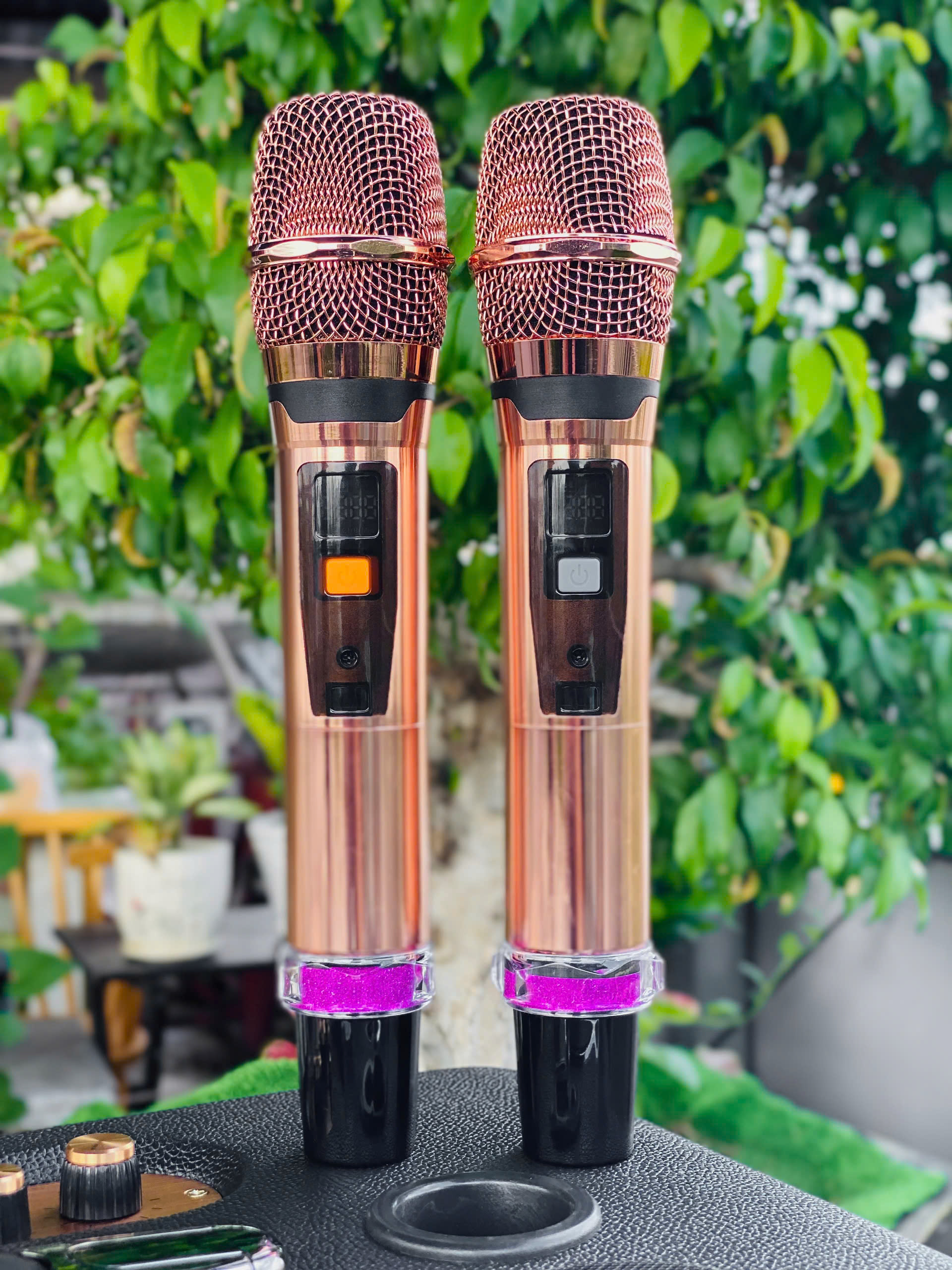 Loa Xách Tay Nghe Nhạc karaoke DVD 179 PRO Công Suất 600W, 24 đường tiếng, Bass đôi 25cm, kèm micro không dây Cao Cấp Hàng Nhập Khẩu