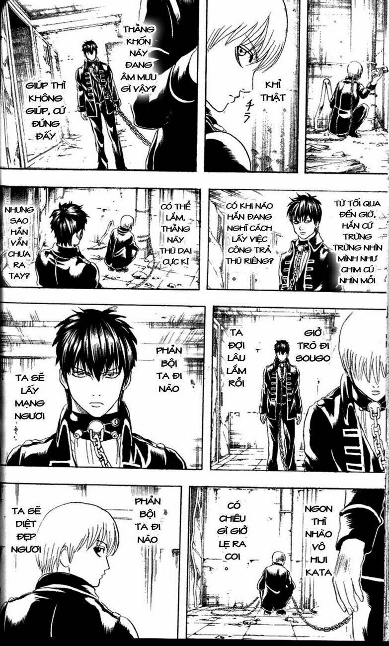 gintama - linh hồn bạc chapter 234 8