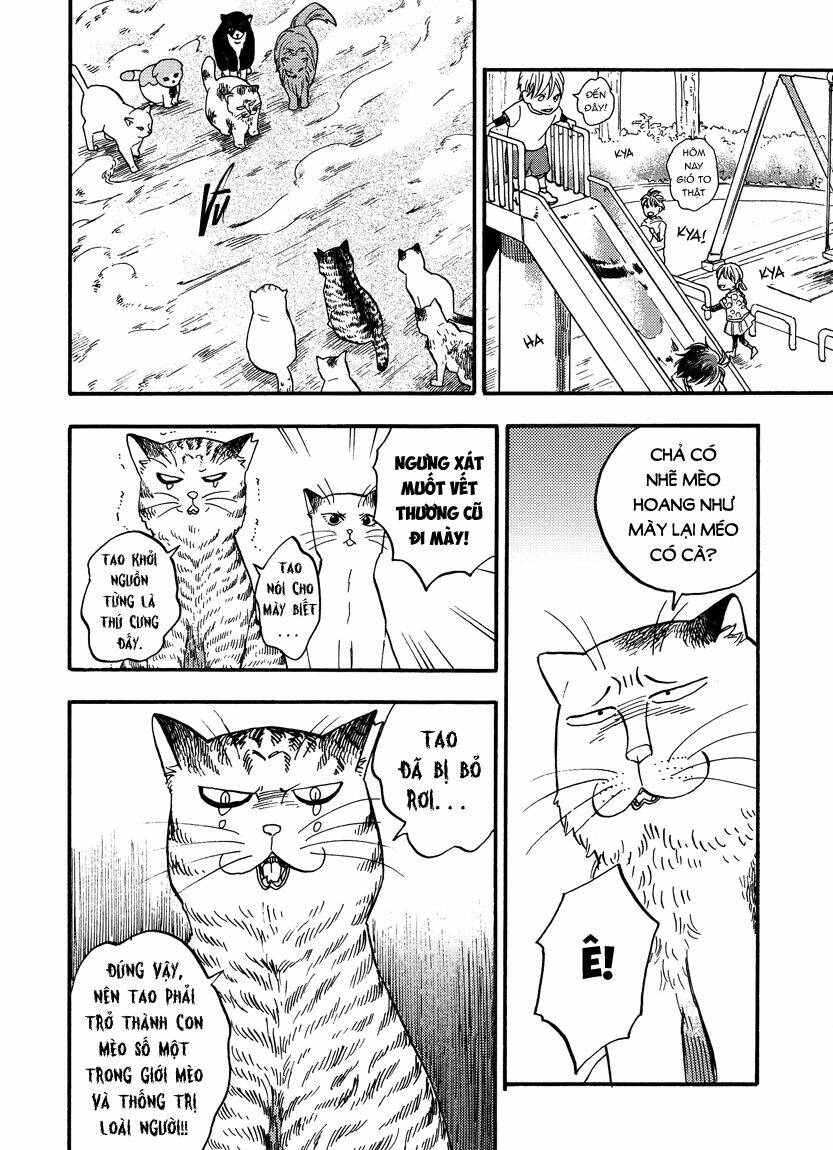 tui là busamen! chapter 8 2