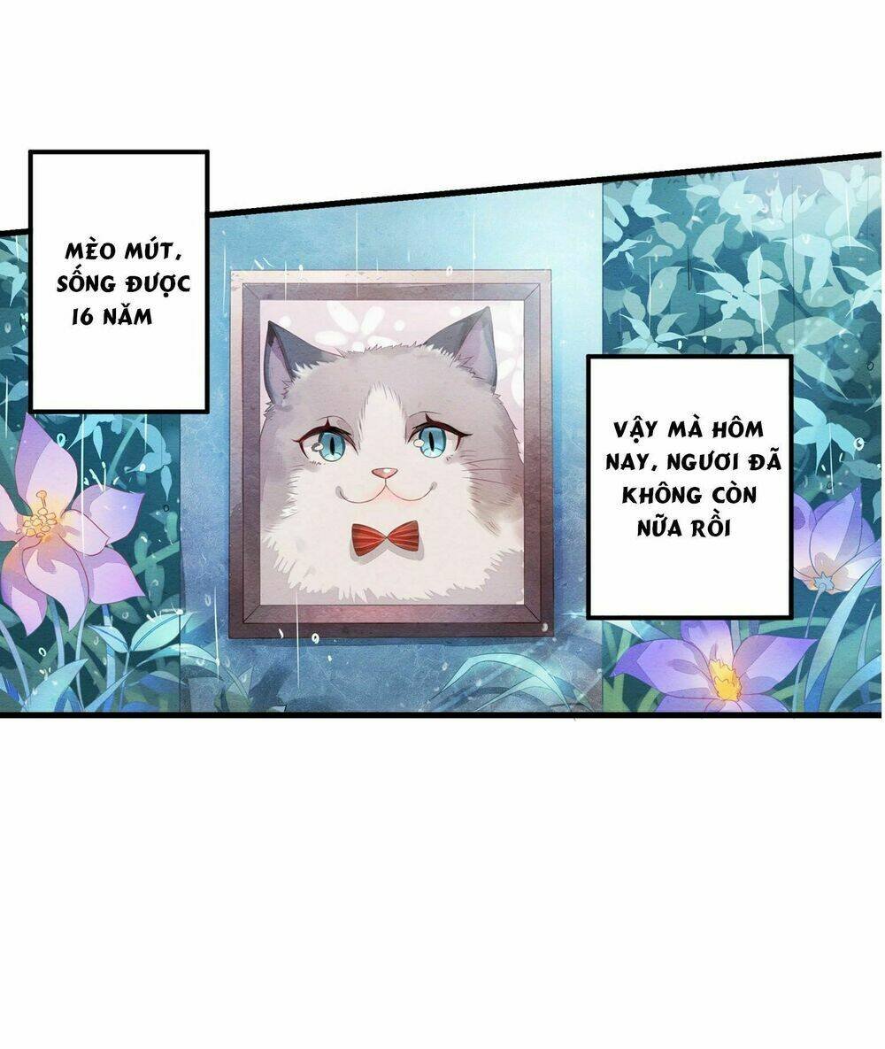 làm mèo của ta chapter 1 8