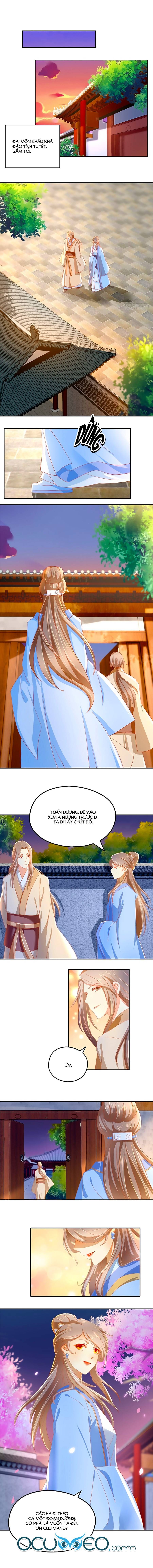 Khuynh Thành Cuồng Phi Của Tà Vương chapter 17 - Trang 9