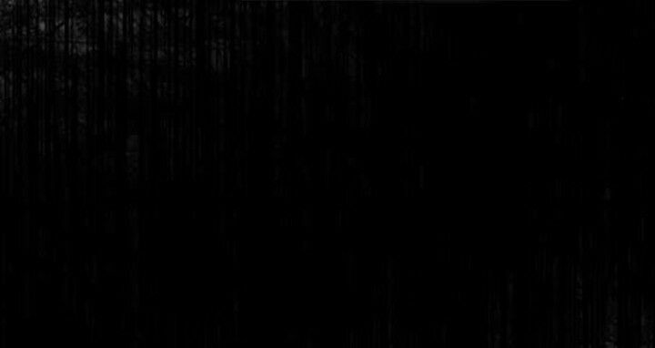 survive romance chapter 40 13