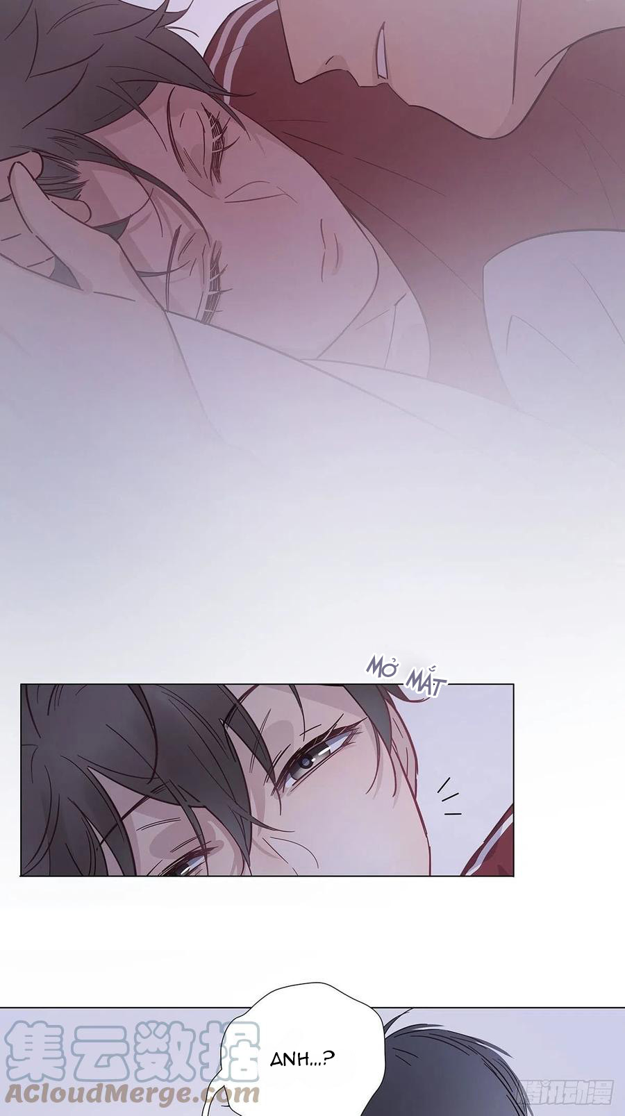 hôm nay nam giả trang nữ vẫn chưa được cầu hôn! chapter 81.6 4