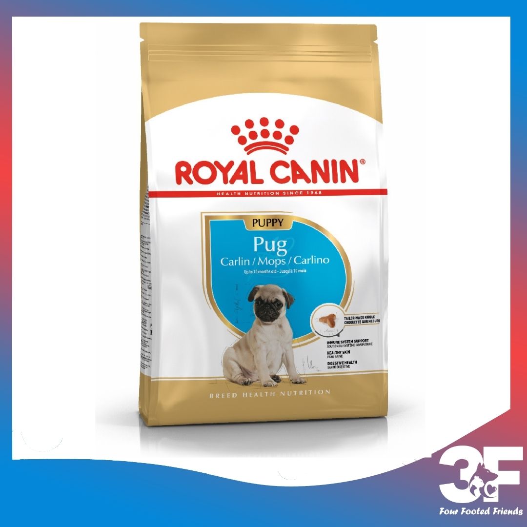 Hạt Khô Dành Cho Chó Pug Từ 2-12 Tháng Tuổi: Royal Canin Pug Puppy