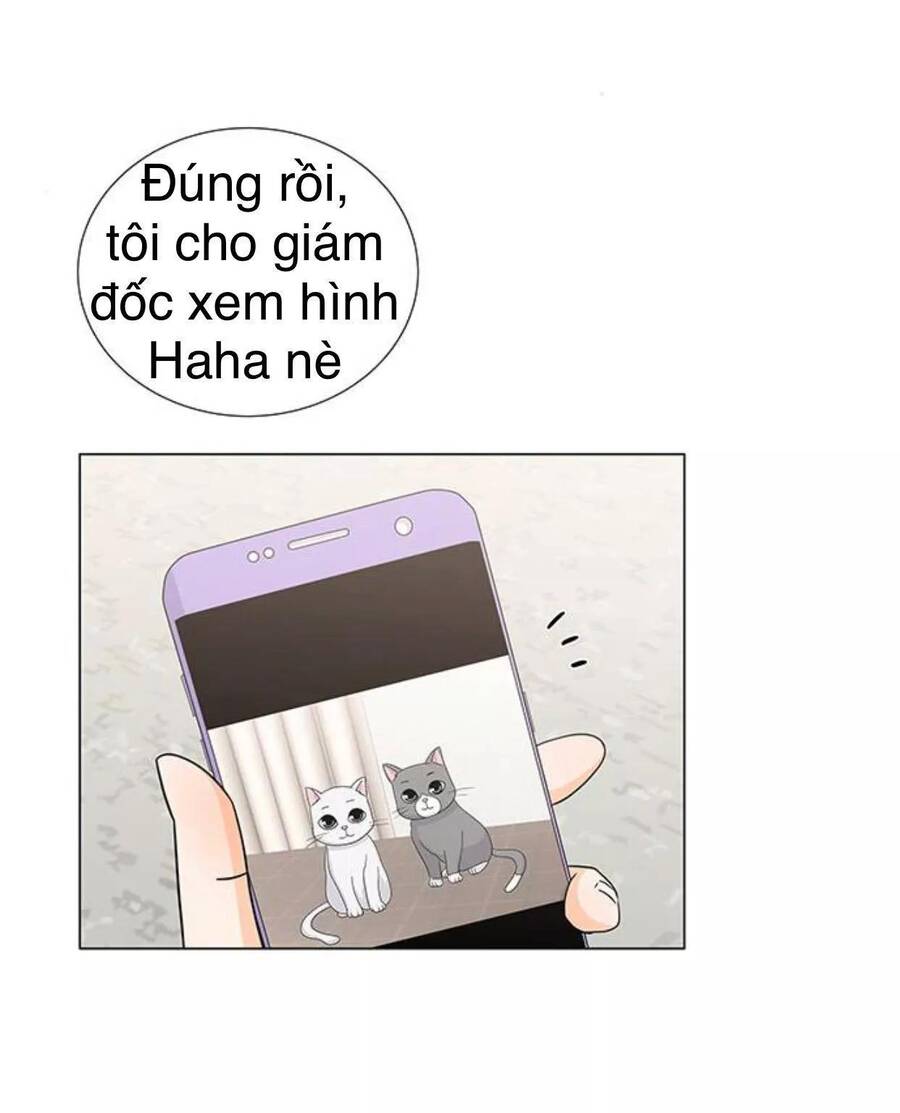 idol và sếp, em yêu ai? chapter 117 17