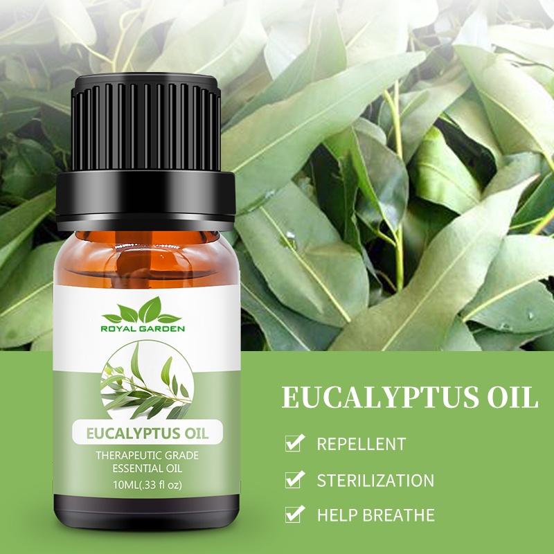 Tinh dầu 10ml / 50ml Bạch Đàn Eucalyptus - Triết xuất thiên nhiên 100% từ Úc