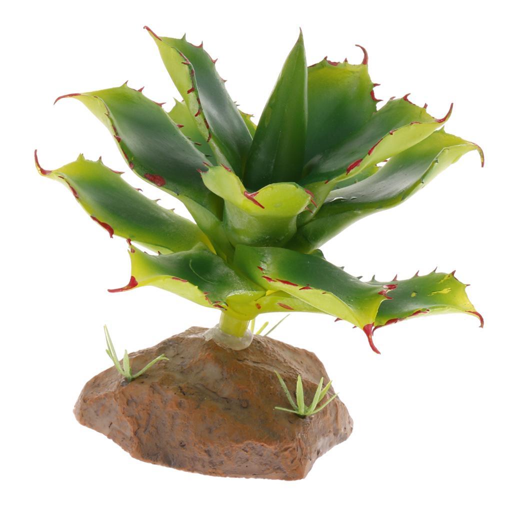 2 Piece Succulent Plant with Resin Base Reptile Terrarium Vivarium Ornament