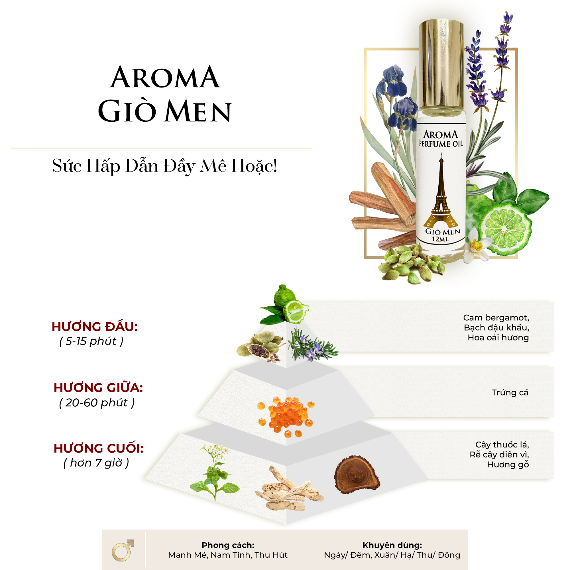 Aroma Gio M – Tinh Dầu Nước Hoa Pháp Dạng Lăn 12ml